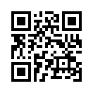 QR CODE 379