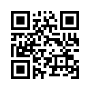 QR CODE 381
