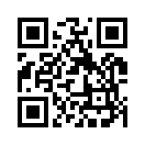 QR CODE 382