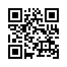 QR CODE 383