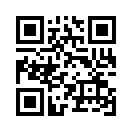 QR CODE 394