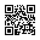 QR CODE 402