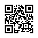 QR CODE 447