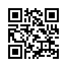 QR CODE 46