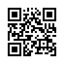 QR CODE 461