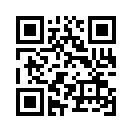QR CODE 492