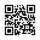 QR CODE 501
