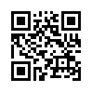 QR CODE 511