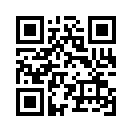 QR CODE 529