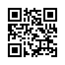 QR CODE 53