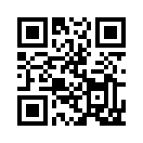 QR CODE 538