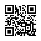 QR CODE 77