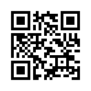 QR CODE 91