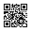 QR CODE 53