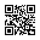 QR CODE 25
