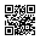 QR CODE 1186