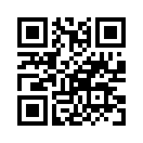 QR CODE 1271