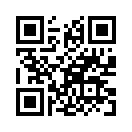 QR CODE 1333