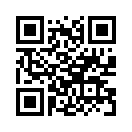 QR CODE 21