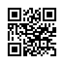 QR CODE 220