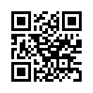 QR CODE 237