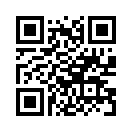 QR CODE 31