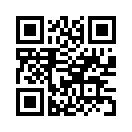 QR CODE 338