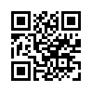 QR CODE 386