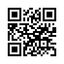 QR CODE 401