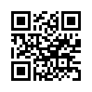 QR CODE 417