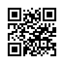 QR CODE 42