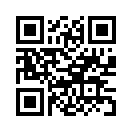 QR CODE 481