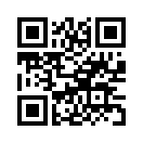 QR CODE 528