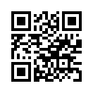 QR CODE 530