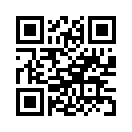QR CODE 584
