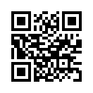 QR CODE 729