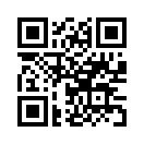 QR CODE 861