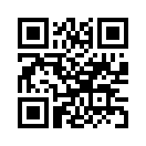 QR CODE 868