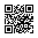 QR CODE 877