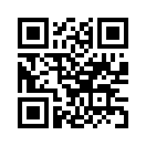 QR CODE 891