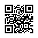 QR CODE 913
