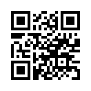 QR CODE 951
