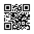 QR CODE 993