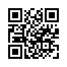 QR CODE 995