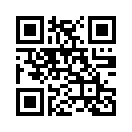 QR CODE 110