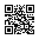 QR CODE 31
