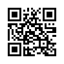 QR CODE 53