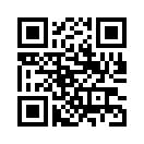 QR CODE 31