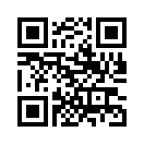 QR CODE 53