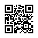 QR CODE 115